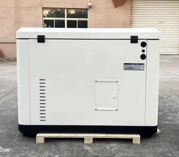 Generac Type Residential Dual Fuel Petrol And LPG Gas Generator